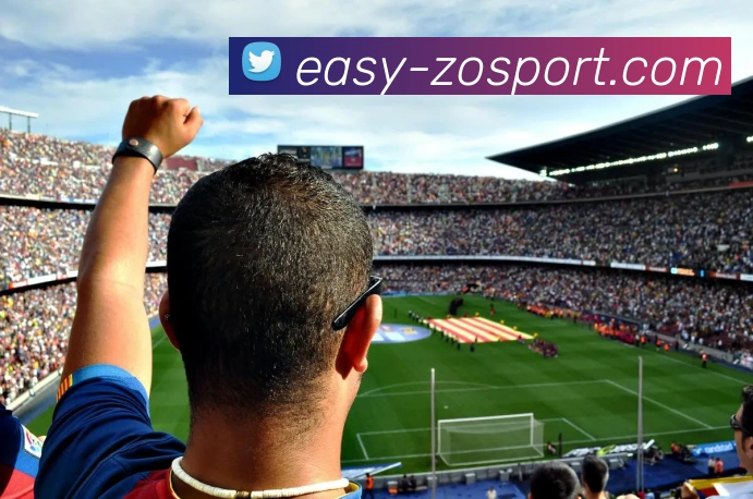 中欧体育平台生态图