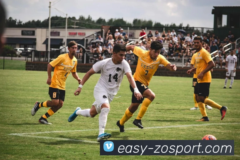 中欧体育APP 封面图